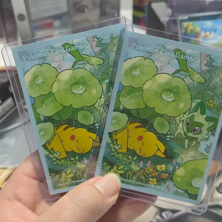 [BUNJANG] Pokemon Card Pikachu &amp; Lechonk Card Sleeves &amp; Toploader Set / 포켓몬카드 피카츄&amp;나오하 카드실드 &amp; 탑로더 세트