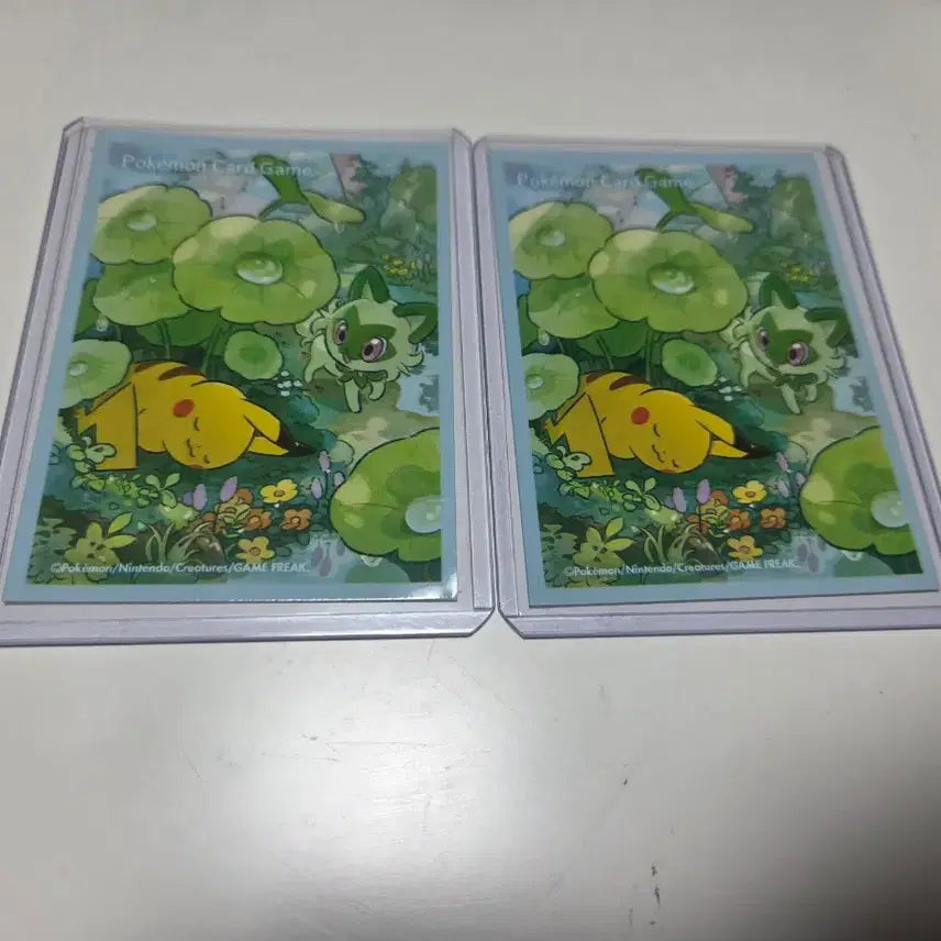 [BUNJANG] Pokemon Card Pikachu &amp; Lechonk Card Sleeves &amp; Toploader Set / 포켓몬카드 피카츄&amp;나오하 카드실드 &amp; 탑로더 세트