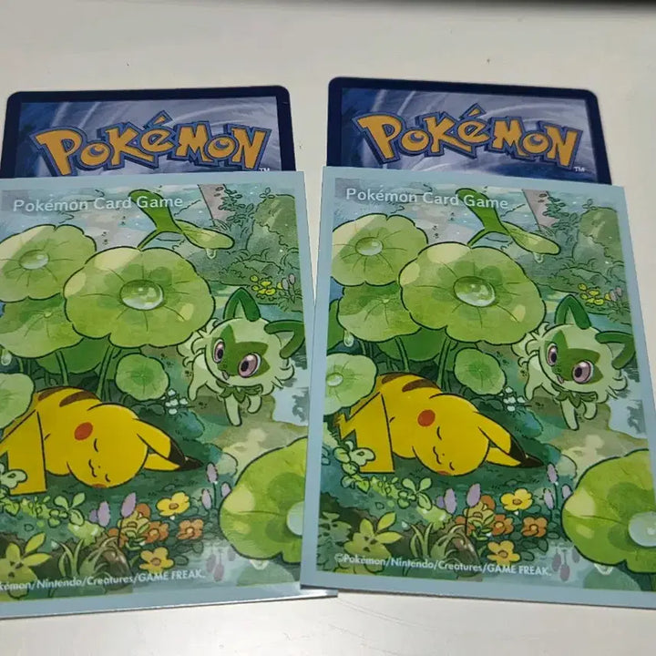 [BUNJANG] Pokemon Card Pikachu &amp; Lechonk Card Sleeves &amp; Toploader Set / 포켓몬카드 피카츄&amp;나오하 카드실드 &amp; 탑로더 세트