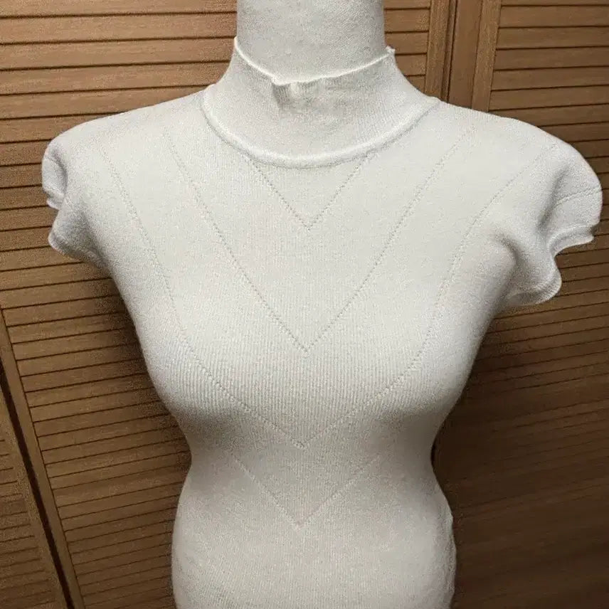 [BUNJANG] Daisy Tag Ribbed Mock Neck Sleeveless Knit / 반목 캡소매 빗살 글램 니트 데이지택 수입의류