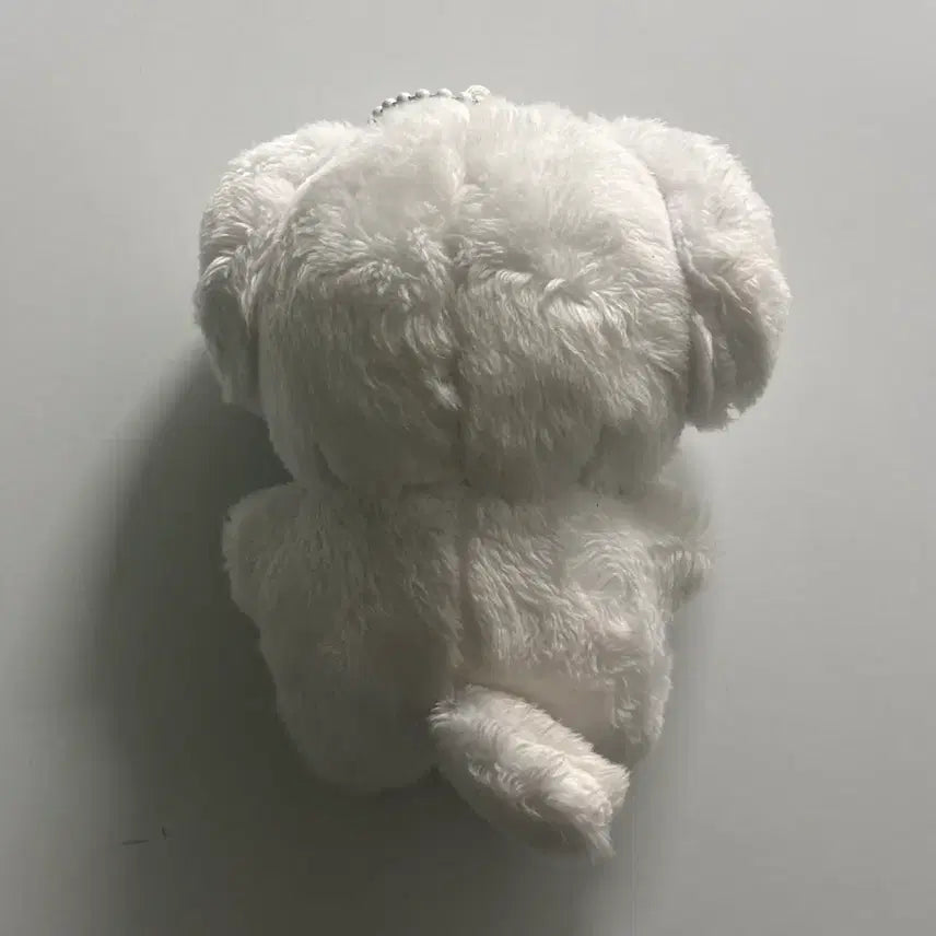 [SOLD OUT] 투바투 범규 비공굿 인형 퐁바투 퐁밤 양도