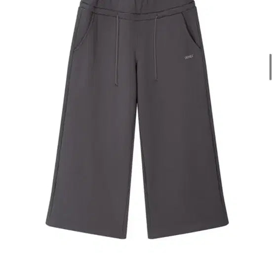 [BUNJANG] Dainite Charcoal Sweatpants / 다이닛 백로고 스웻팬츠 차콜