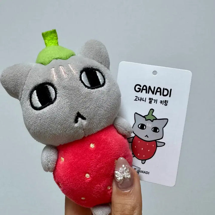 [BUNJANG] Ddalgi Ganadi Gonyani Popup Keyring Doll / 딸기가나디 고냐니 팝업 키링 인형