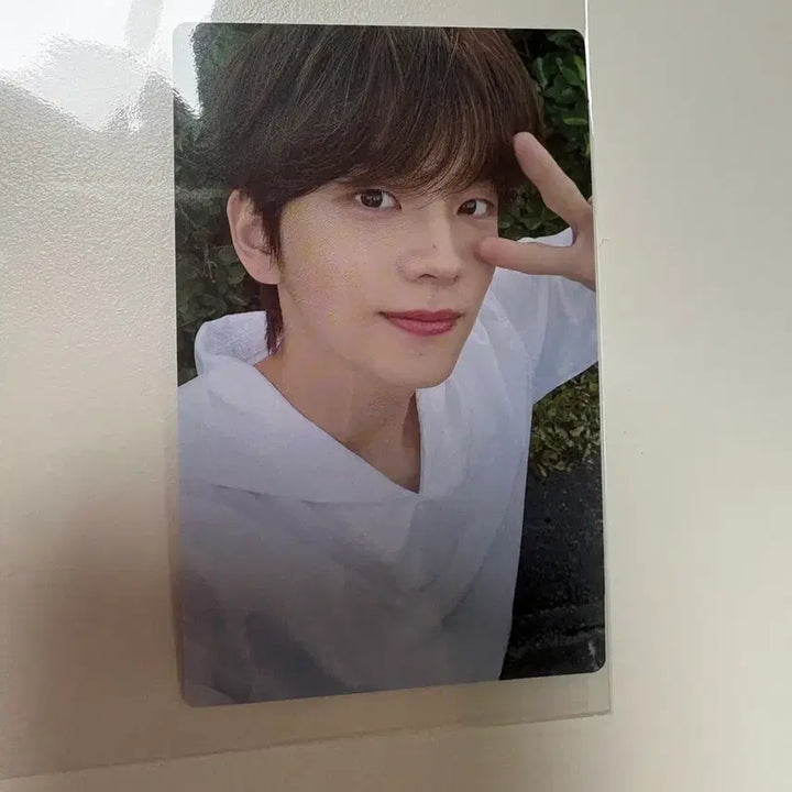 [BUNJANG] TWS Shinyu Photocard Bundle Set (Selection Pack, Summer Beat) / 투어스 신유포카 일괄 신유 하지메마시떼 투어스 셀렉션팩 신유 썸머비트