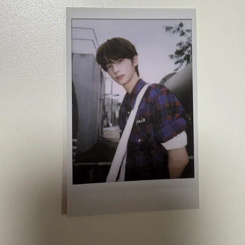 [BUNJANG] TWS Shinyu Photocard Bundle Set (Selection Pack, Summer Beat) / 투어스 신유포카 일괄 신유 하지메마시떼 투어스 셀렉션팩 신유 썸머비트