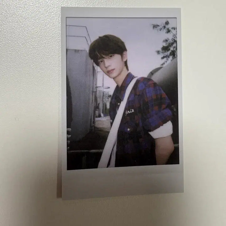 [BUNJANG] TWS Shinyu Photocard Bundle Set (Selection Pack, Summer Beat) / 투어스 신유포카 일괄 신유 하지메마시떼 투어스 셀렉션팩 신유 썸머비트