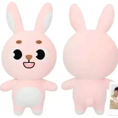 [BUNJANG] Day6 Demil Giant Denimals Doll / [안전결제/미개봉] 데이식스 자이언트 데니멀즈 데멀 필 인형 양도