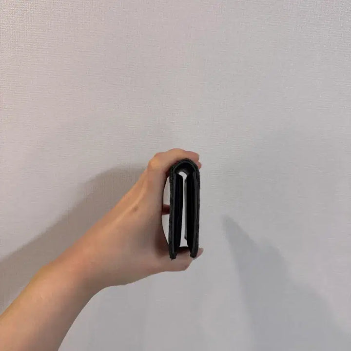 [BUNJANG] Dior Oblique Organizer / 정품 [A급] 디올 오블리크 오거나이져