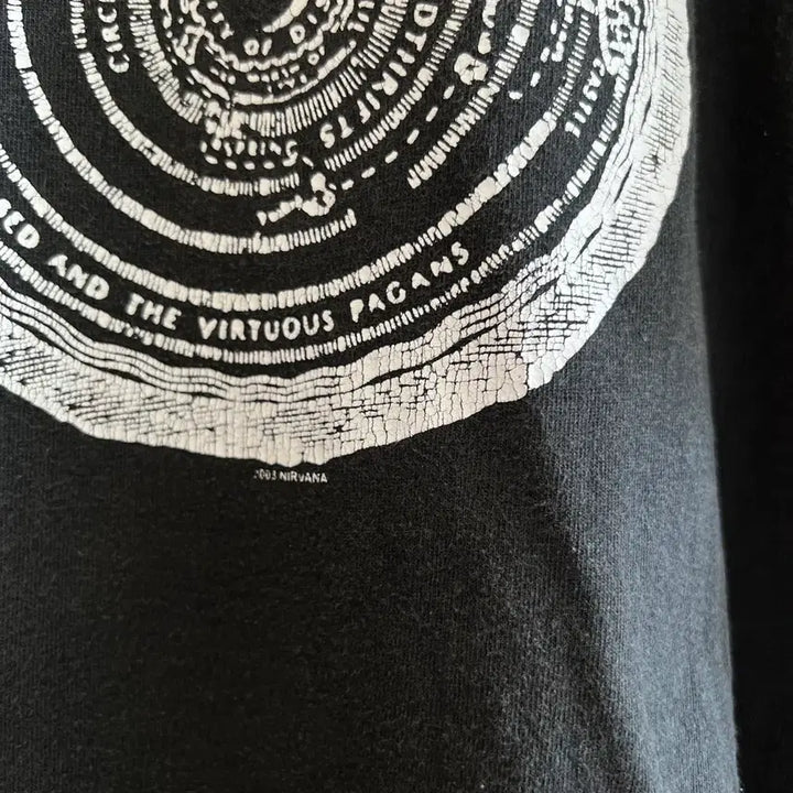 [BUNJANG] Nirvana Vestibule Vintage T-shirt / [L] 00s 너바나 NIRVANA VESTIBULE 티셔츠 빈티지 밴드
