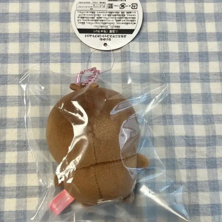 [SOLD OUT] 치이카와 풍뎅이 마스코트 +투명 파우치 세트
