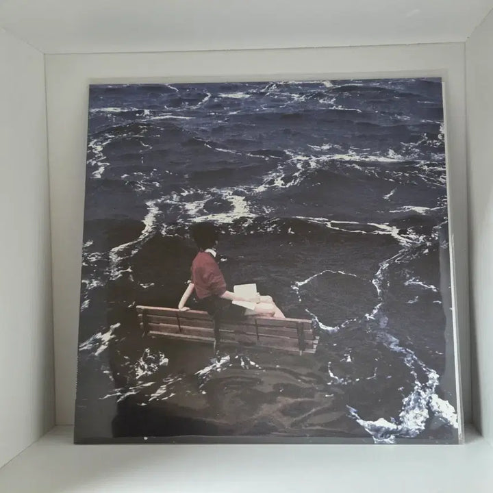 [BUNJANG] Saeyasonen Nonconformity LP (Sealed) / 새소년 비적응 LP (미개봉)