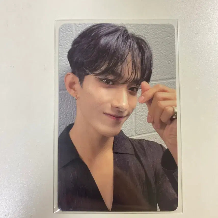 [BUNJANG] 세븐틴 비더썬 투어링 얼리버드 도겸 포카 양도해요 / 세븐틴 비더썬 투어링 얼리버드 도겸 포카 양도해요