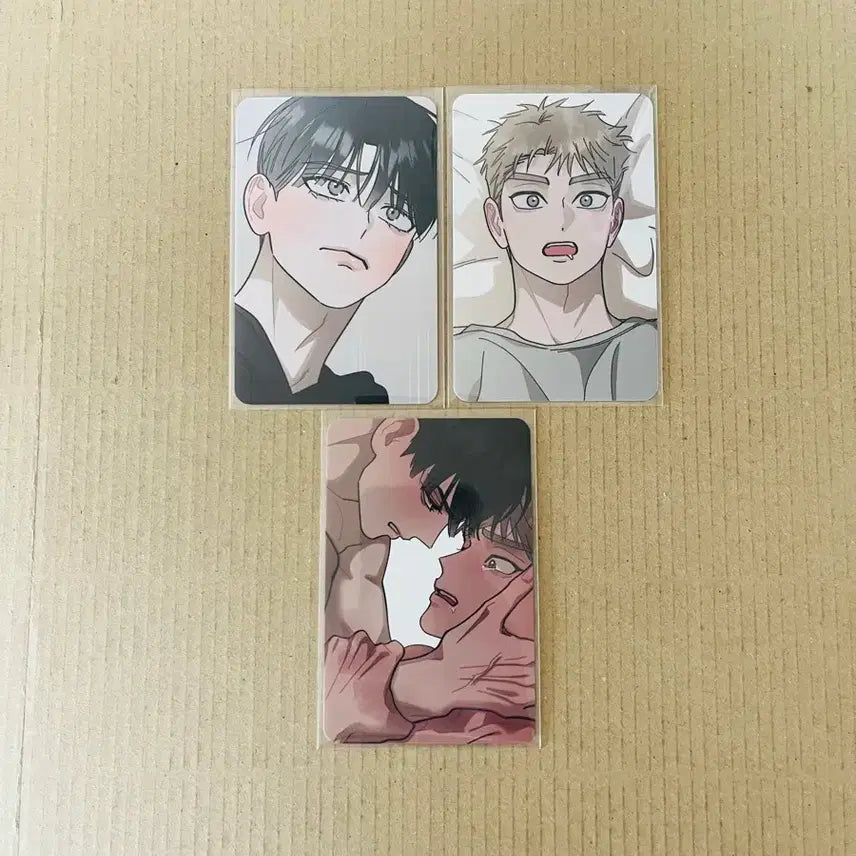 [SOLD OUT] 레봄 홍실퀘스트 홍퀘 포토카드 3종