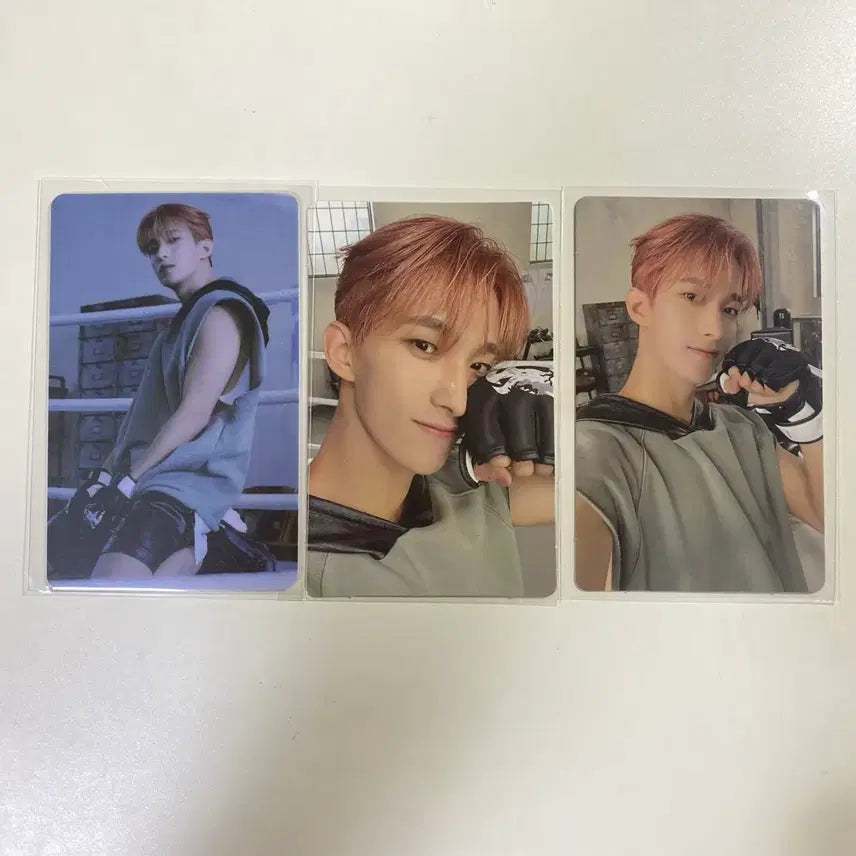 [BUNJANG] 세븐틴 FML 위버스버전 위버스반 도겸포카 양도해요 / 세븐틴 FML 위버스버전 위버스반 도겸포카 양도해요
