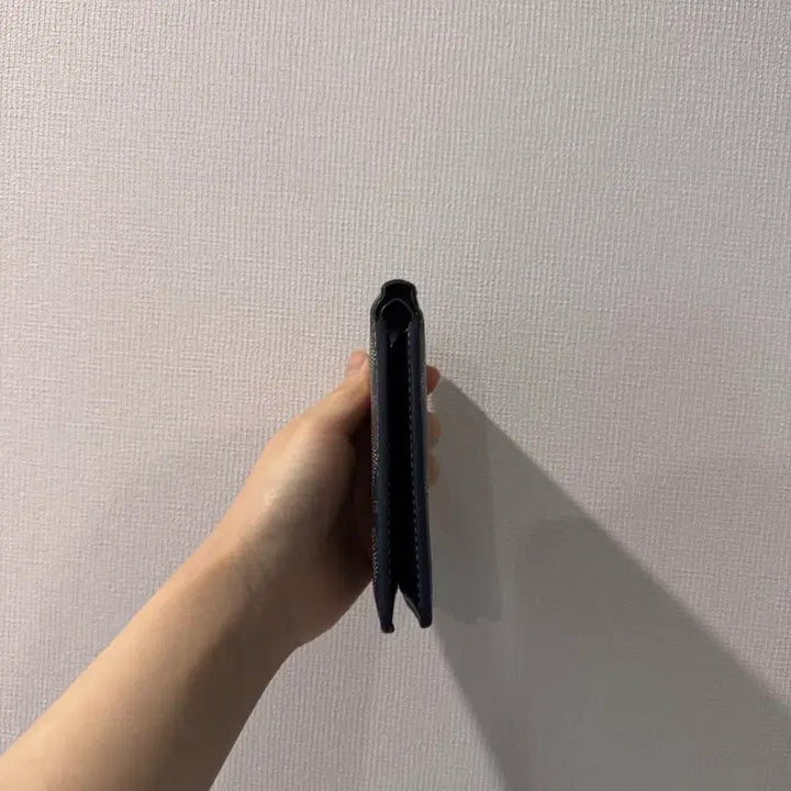 [BUNJANG] Goyard Victoire Bifold Wallet / 정품 A급 고야드 빅투아르 반지갑