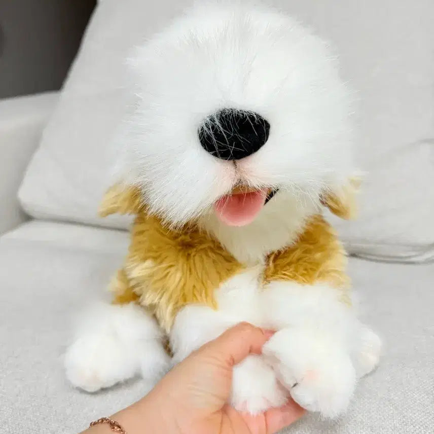 [BUNJANG] Vintage Puppy Plush Toy / 빈티지 강아지인형