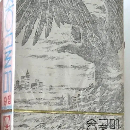 [BUNJANG] Songgolmae Vol. 9 Cassette Tape (Sealed) / 송골매 9집 카세트 (워크맨) 테이프 (미개봉) 금성레코드사 출시