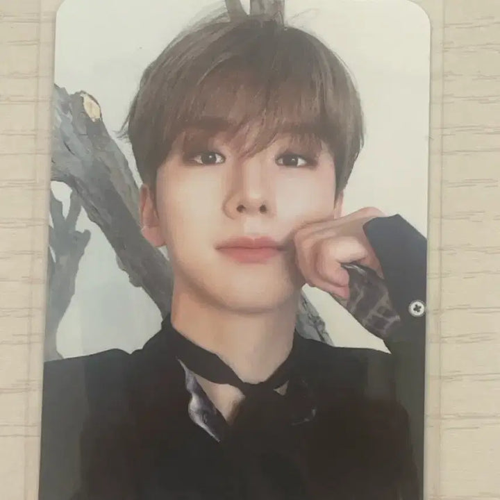 [BUNJANG] MONSTA X Kihyun Norym Hamppojai Photocard / (급처) 몬스타엑스 노리밋 기현 햄포자이 포카