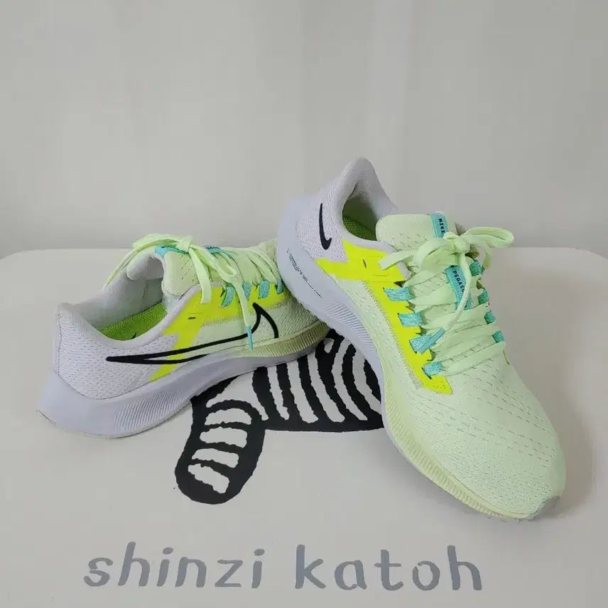 [BUNJANG] Nike Air Zoom Pegasus 38 Running Shoes / [나이키]에어 줌 페가수스38.내놓아요