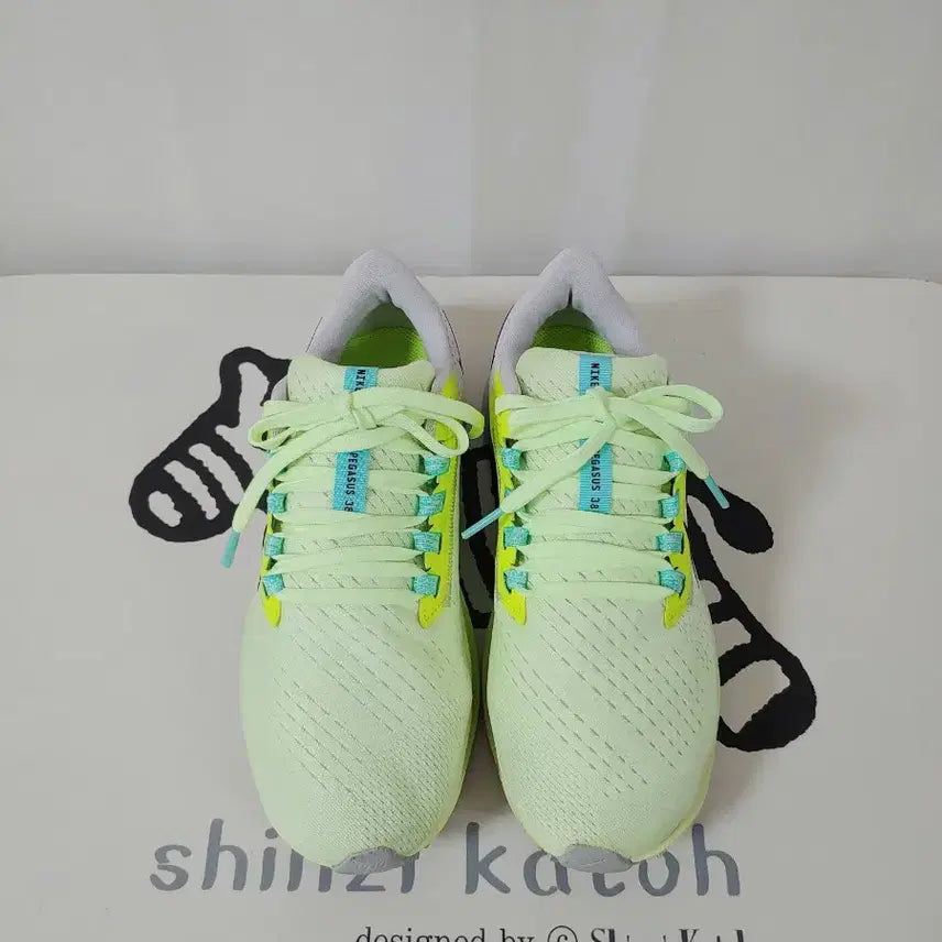 [BUNJANG] Nike Air Zoom Pegasus 38 Running Shoes / [나이키]에어 줌 페가수스38.내놓아요