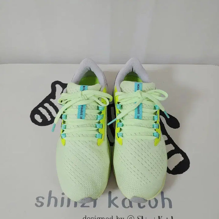 [BUNJANG] Nike Air Zoom Pegasus 38 Running Shoes / [나이키]에어 줌 페가수스38.내놓아요