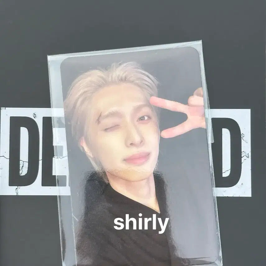 [SOLD OUT] 엑디즈 공방 포카 가온