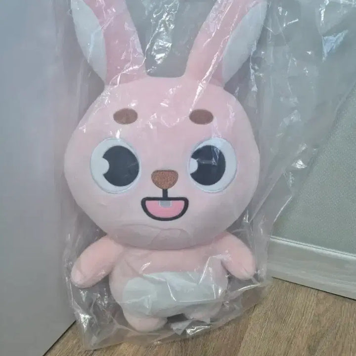 [SOLD OUT] 미개봉 데이식스 자이언트 데니멀즈 필끼 양도 (포카,폴라포함)