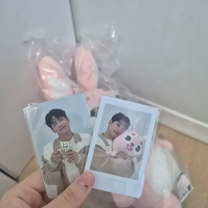 [SOLD OUT] 미개봉 데이식스 자이언트 데니멀즈 필끼 양도 (포카,폴라포함)