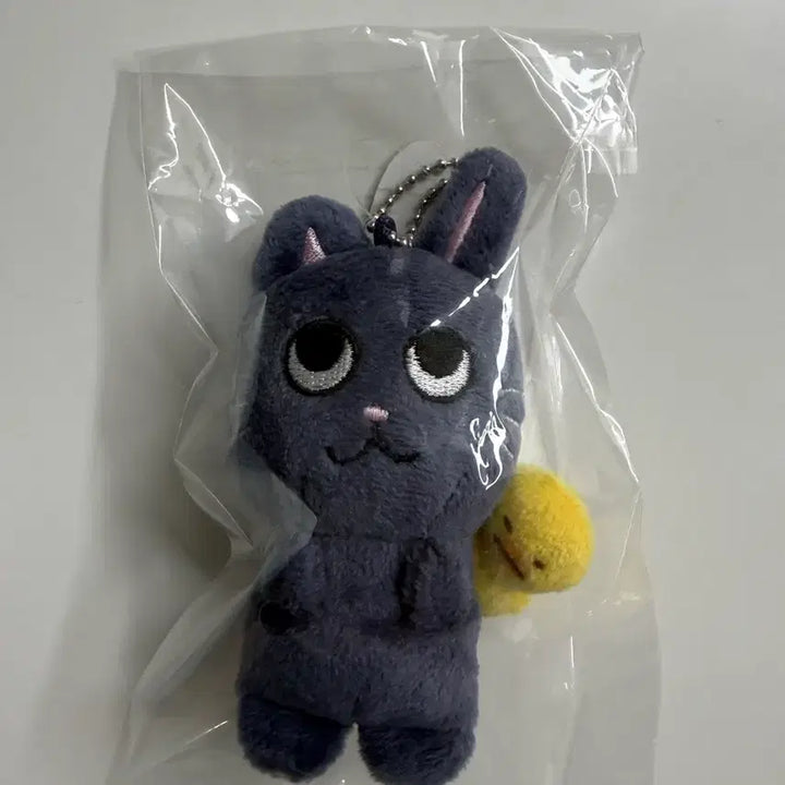 [SOLD OUT] 토냥덕 1기 라이즈인형 원빈인형 판매