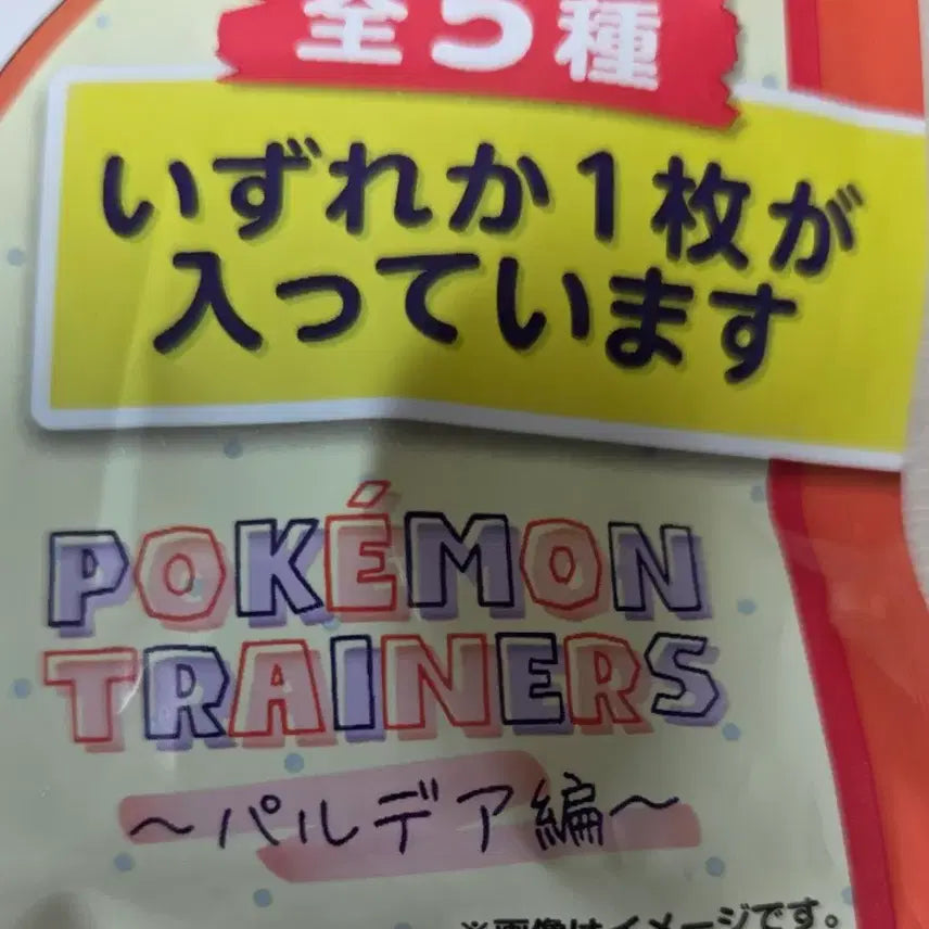 [BUNJANG] Pokemon Scarlet Trainers T-shirt / 포켓몬센터 티셔츠 컬렉션 포켓몬 트레이너스 스칼렛