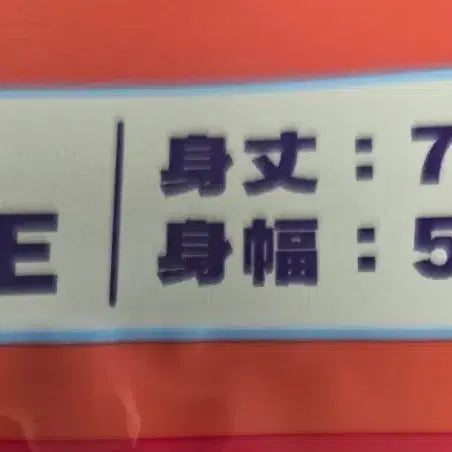 [BUNJANG] Pokemon Scarlet Trainers T-shirt / 포켓몬센터 티셔츠 컬렉션 포켓몬 트레이너스 스칼렛