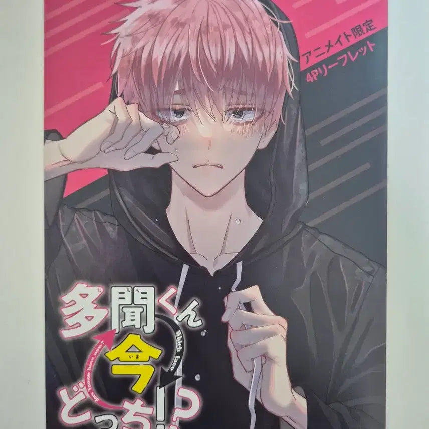 [BUNJANG] Tamon-kun Animate Limited Edition Brochure / 타몬군 지금 어느쪽?! 리플릿 애니메이트 특전