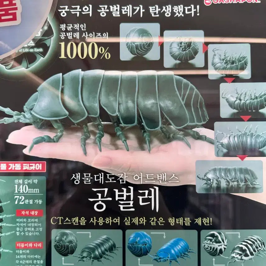 [BUNJANG] 생물대도감 공벌레 어드벤스(블랙) / 생물대도감 공벌레 어드벤스(블랙)