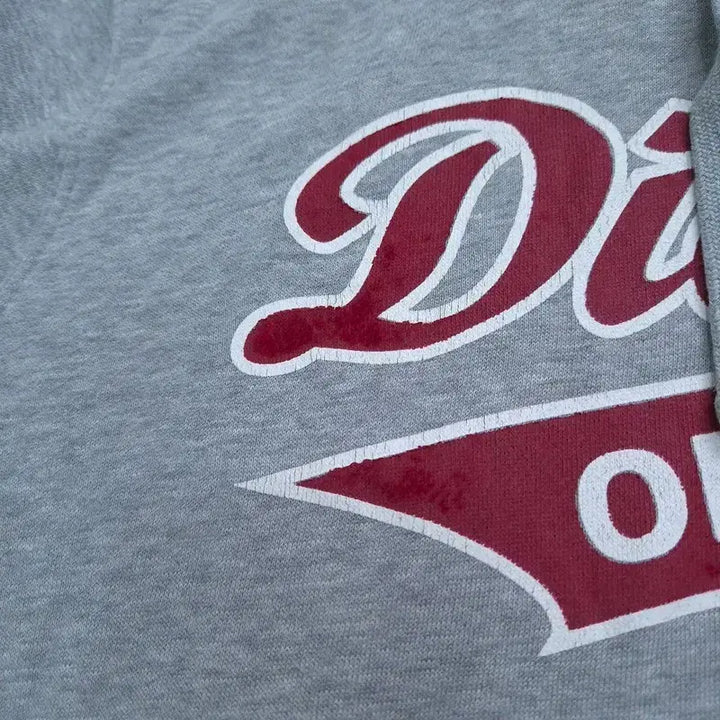 [BUNJANG] Dickies Hoodie - S-MEDIUM / S-MEDIUM 디키즈 후드티 | C