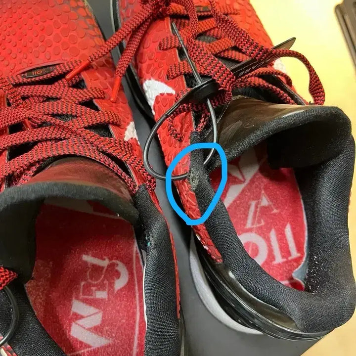 [BUNJANG] Nike Kobe 6 All-Star Basketball Shoes / 나이키 코비6 올스타 260 농구화