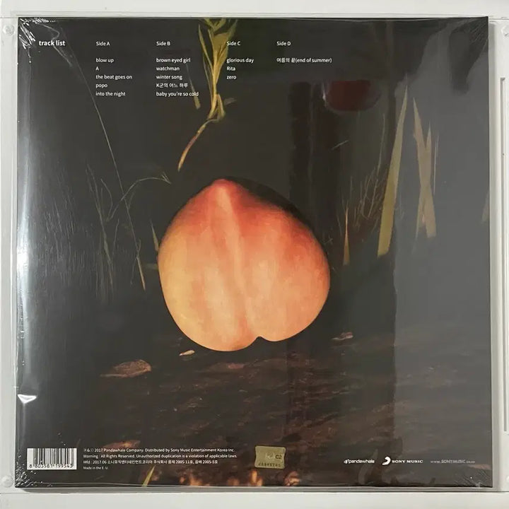 [BUNJANG] The Monotones Into The Night LP / The Monotones (더 모노톤즈) Into The Night LP