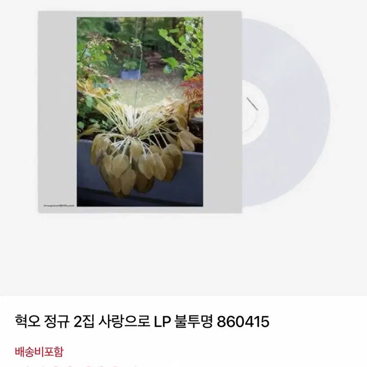 [BUNJANG] Hyukoh Love LP (Sealed) / 미개봉 ) 혁오 사랑으로 LP
