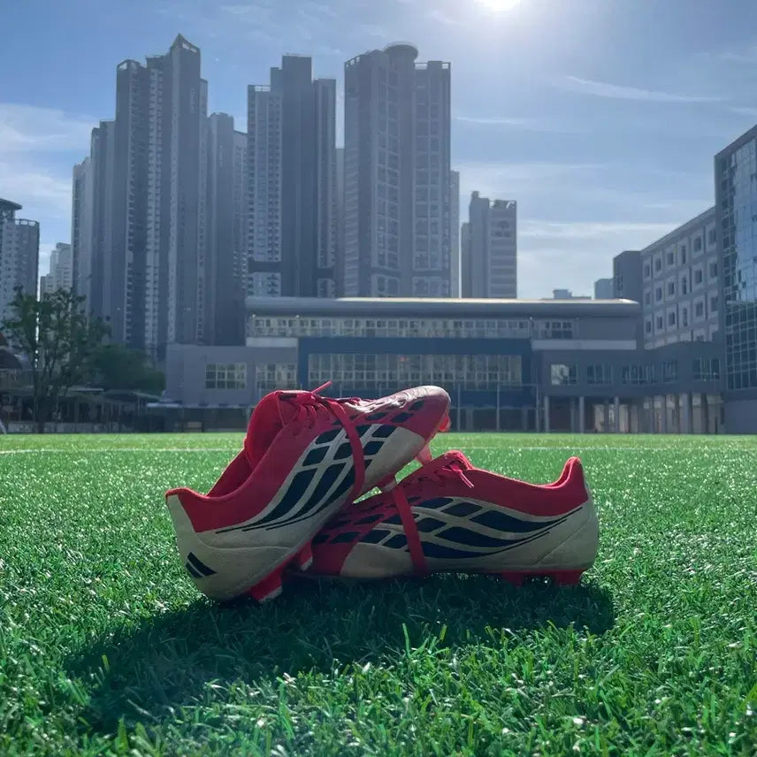 [BUNJANG] Adidas Predator HG/FG Soccer Cleats / 2026아디다스 프레데터(HG/FG) 280-285