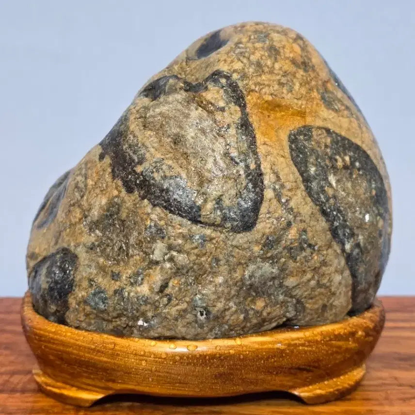 [BUNJANG] Muju Natural Monument Gou Sang Granite Gneiss Natural Stone Suiseki / 26042201 무주 천연기념물 구상화강편마암 자연석 수석 팝니다