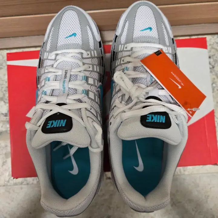 [BUNJANG] Nike P-6000 Dusty Cactus Limited Edition Sneakers / 나이키 P-6000 더스티 캑터스 한정판265(새상품)