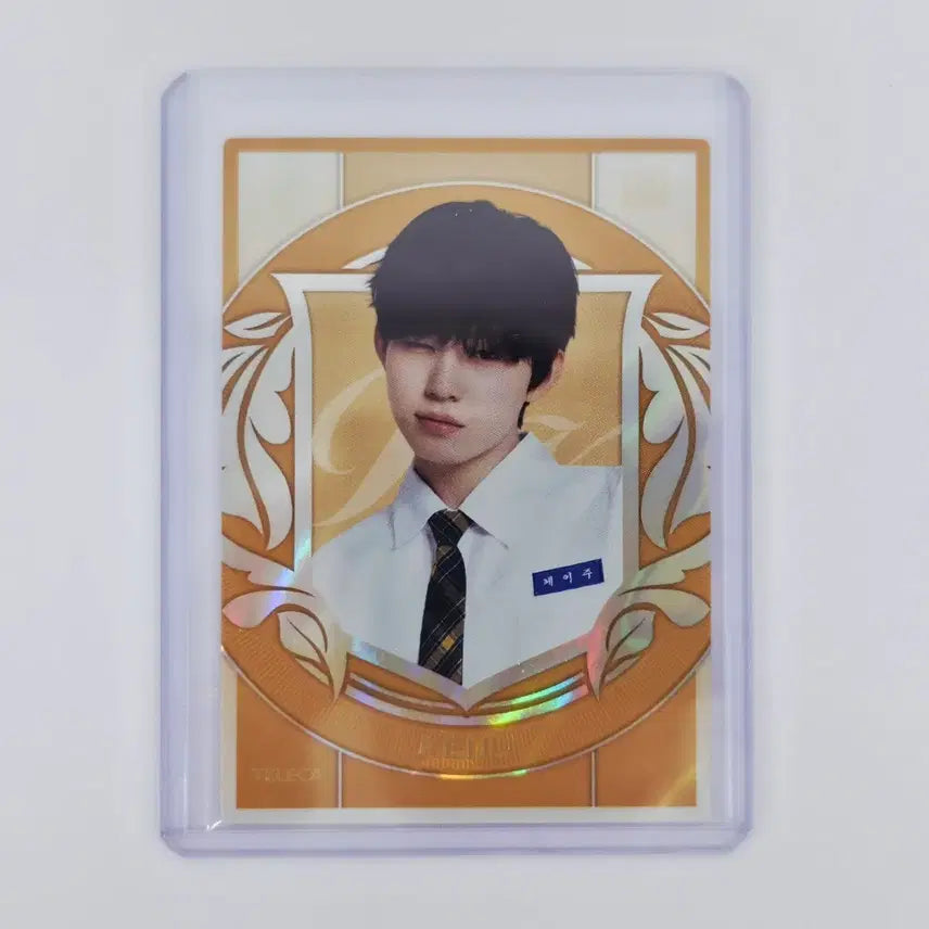 [BUNJANG] Tereca K-Pop Kei-ju SSP Photocard / 테레카 K-POP 케이주 SSP