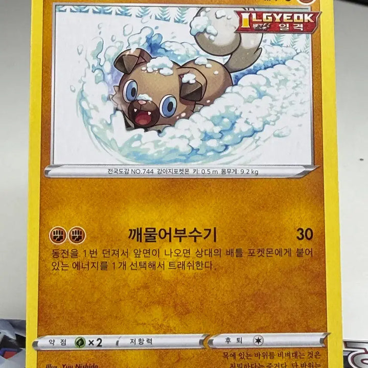 [BUNJANG] General Card B+ Grade / 암멍이 일반 카드 [200원] 앨범용 B+급