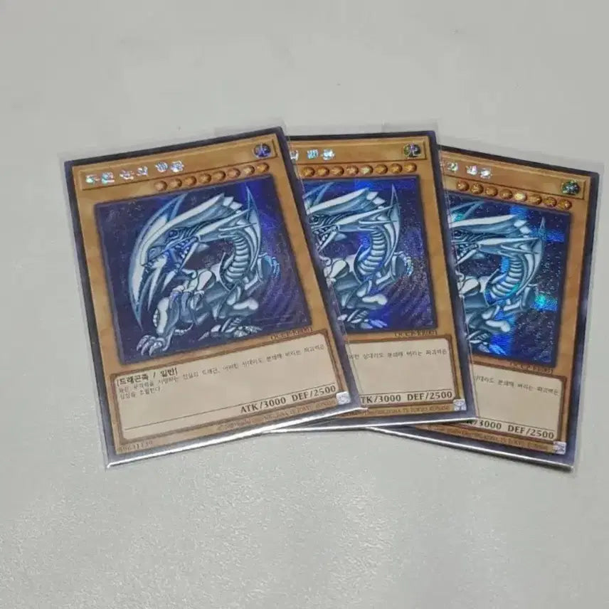 [BUNJANG] Yu-Gi-Oh! Blue-Eyes White Dragon Secret Rare 3-Card Bundle Set / 유희왕 푸른 눈의 백룡 시크 3장 일괄