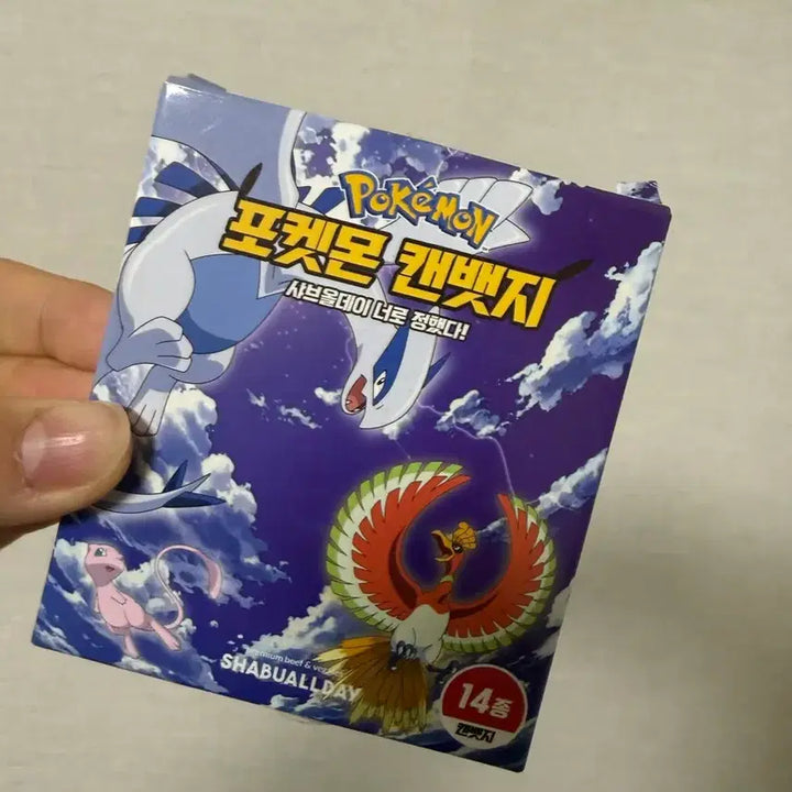 [BUNJANG] Pokemon Can Badge Shav All Day / 포켓몬 캔뱃지 샤브올데이