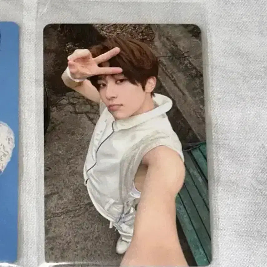 [BUNJANG] NCT WISH Sion Odd to Love Pop-up Photocard / (시온) 엔시티위시 오드투러브 팝업 5만원 포카