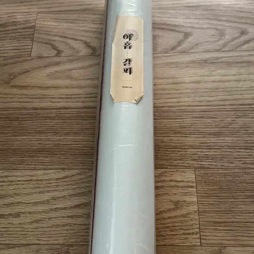 [SOLD OUT] 아이유 역조공 포스터 빠르게 처분해요  당일 택배접수