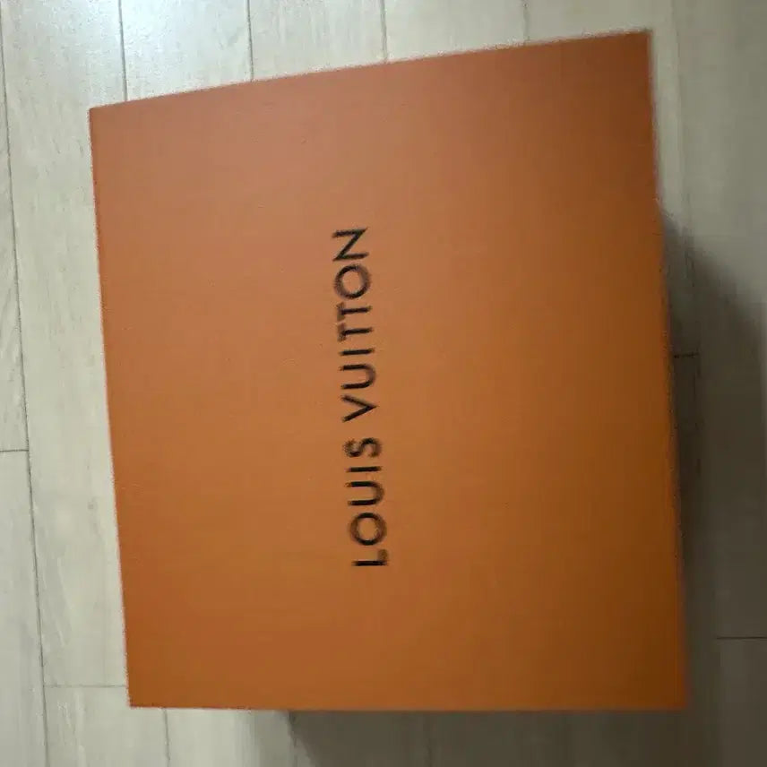 [BUNJANG] Louis Vuitton Bag / LV 새상품 가방 팔아요
