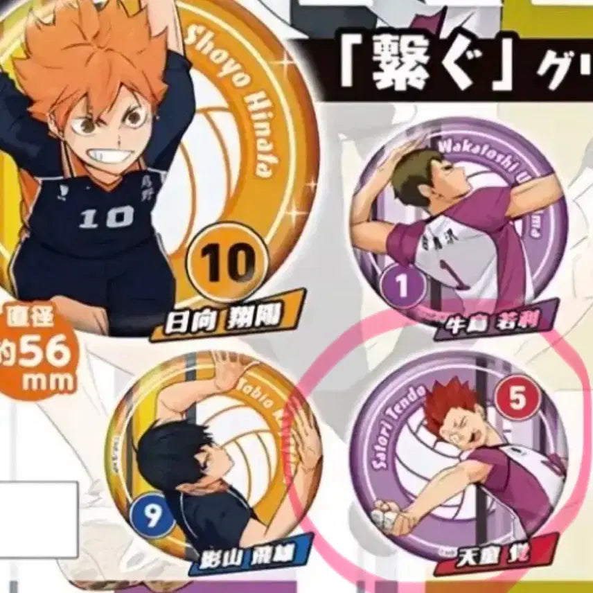 [BUNJANG] Haikyuu Satori Tendo Can Badge / 하이큐 텐도 사토리 캔뱃지