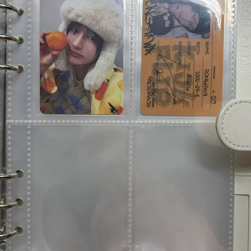 [SOLD OUT] 킥플립 동화 포카 일괄 양도