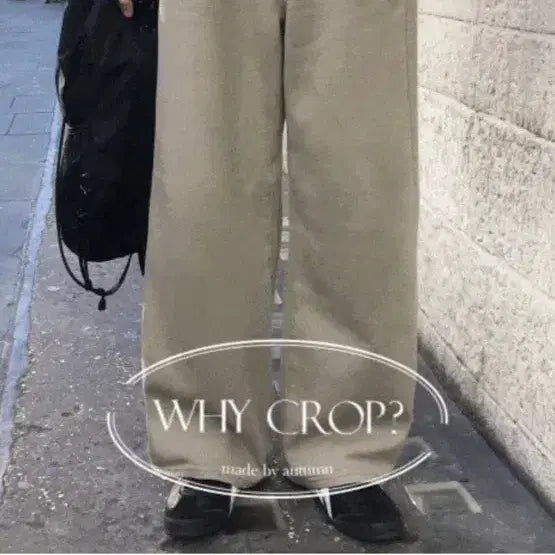 [BUNJANG] Autumn Beige Wide Pants / 오버핏 베이지 와이드 팬츠 오텀